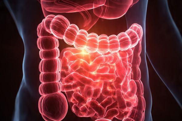 The Hidden Digestive Dangers of Sitting Too Long